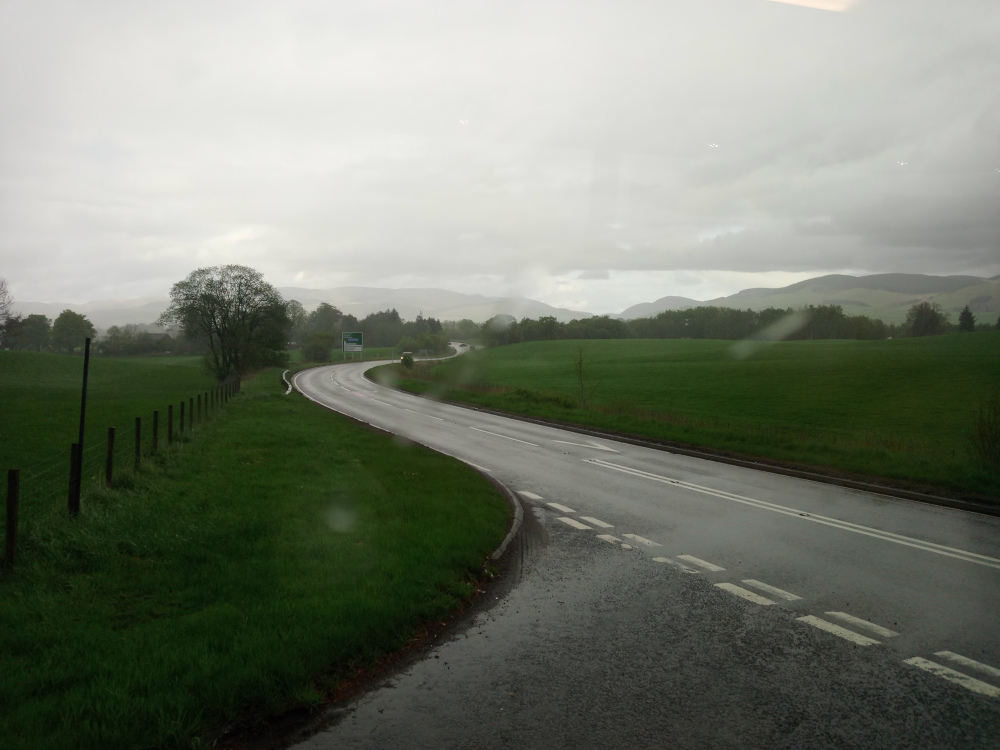 Gently curving asphalt road, wet from recent rain, stretching from the foreground towards a distant horizon. The road is two-laned with clear white dashed lines marking the center and intermittent wider white markings suggesting pedestrian crossings. On the left side of the road, a wire fence runs parallel, separating the road from a lush, vibrant green field. A few solitary trees stand out against the field, particularly a darker, fuller tree mid-left, adding depth. In the distance, there is a hint of a vehicle, nearly indistinguishable due to distance and the atmospheric haze.