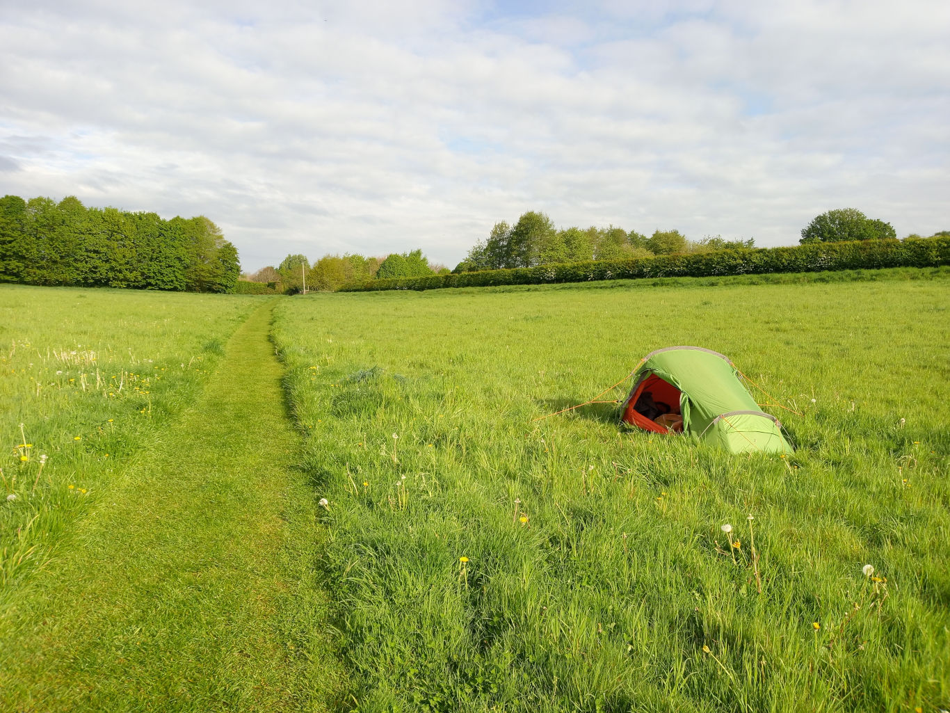 Single-person tent pitched low in a vibrant green field. The tent is partially unzipped, hinting at someone possibly inside, although no person is visible. The tent fabric appears lightweight and slightly shiny. Orange interior lining is just barely visible through the opening. Thin, orange guy lines extend from the tent, subtly anchoring it to the ground. A mowed path, a bright, almost emerald green, cuts diagonally across the foreground, leading towards a line of trees in the middle distance. The setting is a pastoral English countryside scene. The foreground is dominated by the lush, slightly tall grass of the field, speckled with small white dandelion-like flowers. The background features a hedge running horizontally across the middle distance, separating the field from a line of deciduous trees, ranging in shades of green. The sky is a soft, light blue with a scattering of fluffy white clouds, indicating a partly sunny day. The overall color palette is tranquil and natural, consisting primarily of various shades of green, punctuated by the small white flowers and the lime-green of the tent, along with the pale blue of the sky.