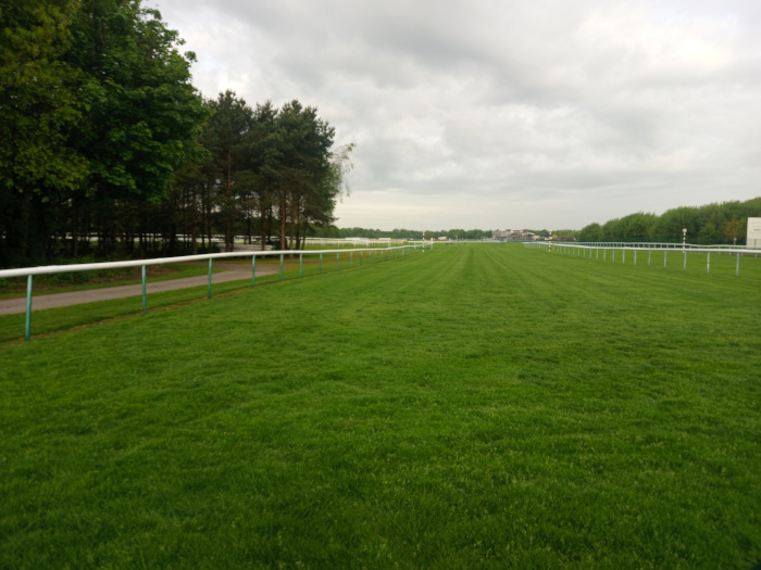 Verdant, meticulously maintained grass race track, stretching from the foreground to the middle ground. The grass is a vibrant, even green, showing subtle striations from grooming, suggesting a recently manicured surface. A low, white railing with teal-coloured posts runs parallel to the viewer's perspective along the left side of the track, creating a clear boundary. A similar railing runs along the right side, but is partially obscured in the distance. No people or animals are visible. The setting appears to be a horse racing track on an overcast day. The sky is a muted, light gray, with a thick blanket of clouds dominating the upper half of the frame, creating a soft, diffused light. The overall color palette is subdued, with the vibrant green of the grass contrasting with the gray sky and muted greens and browns of the trees. The background shows a line of trees bordering the track, leading to distant buildings hinting at racecourse facilities—all muted in tone and detail due to the distance and atmospheric conditions.