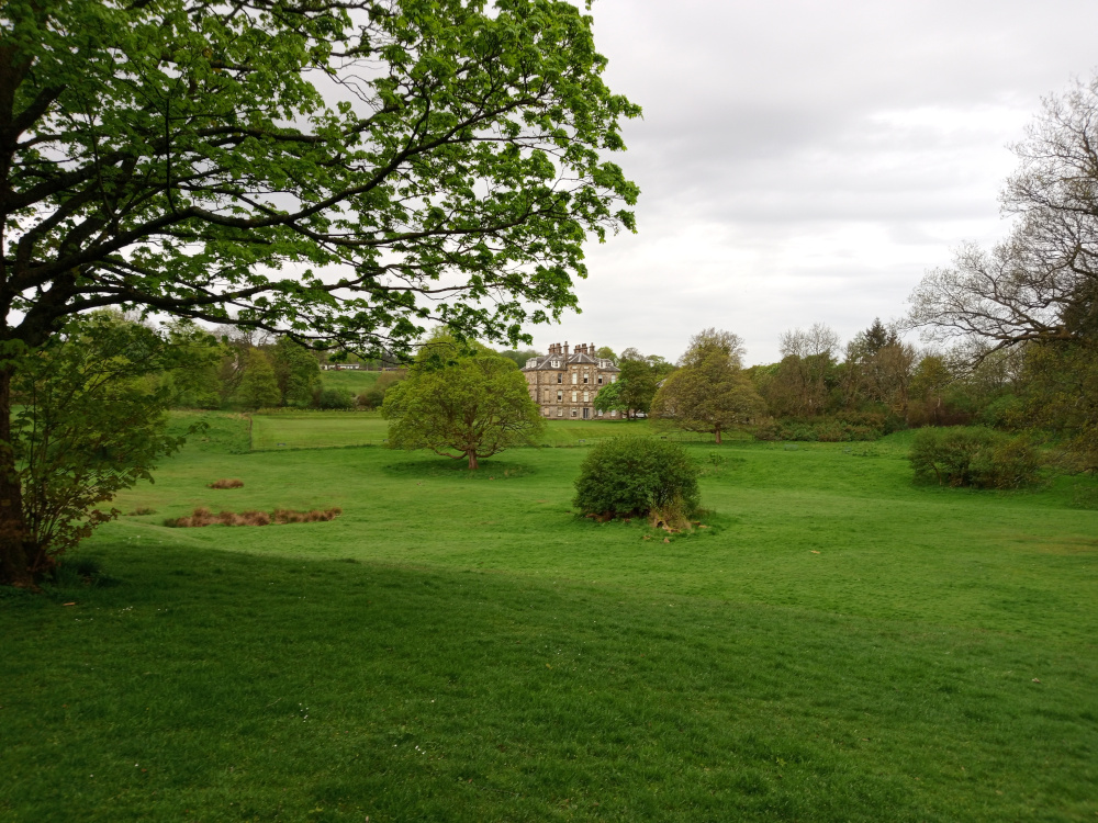Large, stately, stone mansion, light brownish-grey in colour, situated in the mid-ground. It's a multi-story building with multiple visible windows and a complex roofline, suggesting a classical or possibly Georgian architectural style. The mansion is nestled amongst lush greenery, appearing relatively secluded. In the foreground, a sweeping expanse of vibrant green grass dominates the scene. A large, mature deciduous tree with spreading branches and bright, fresh green leaves occupies a significant portion of the left foreground, partially obscuring the view of the mansion. Smaller, similarly leafy trees and shrubs are scattered throughout the scene, contributing to the verdant landscape. The environment is a tranquil, park-like setting, possibly a large estate or country garden. The background consists of a rolling landscape of verdant hills and a variety of trees, suggesting a natural, unspoiled environment. The sky is overcast, a light grey-white, diffusing the light evenly across the scene without harsh shadows. The dominant colours are various shades of green in the grass and foliage, punctuated by the muted grey-brown tones of the mansion.