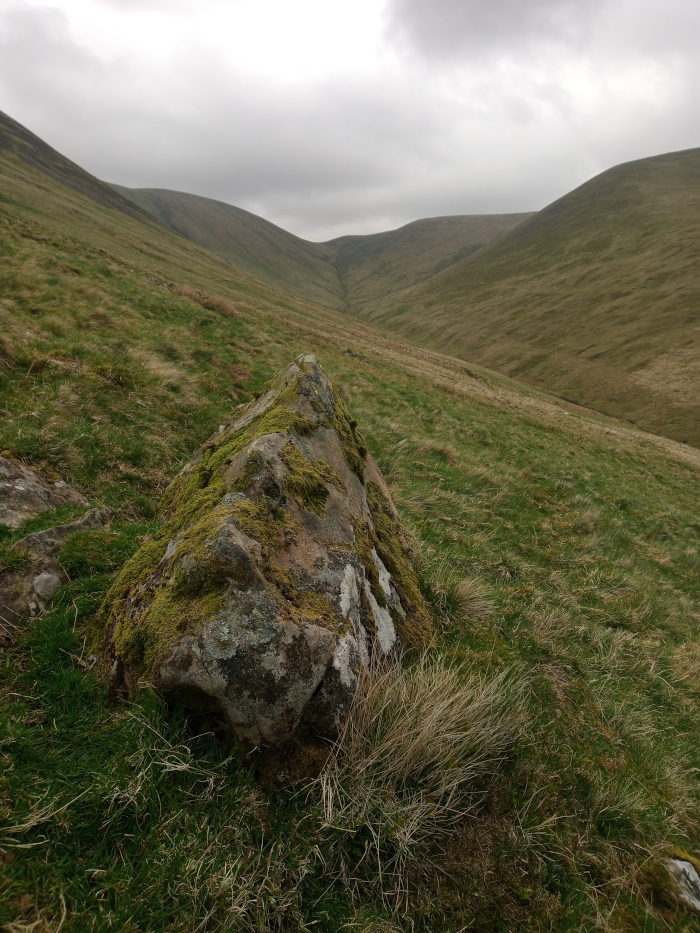 Large, moss-covered boulder, positioned slightly off-centre, leaning towards the viewer. The boulder is roughly triangular in shape, with its base nestled into the grassy hillside. Its surface is a tapestry of muted greens and browns, the moss unevenly distributed, creating textural variations. The rock displays patches of gray and lighter brown, suggesting weathering and mineral variations within the stone itself. There's no visible human presence or action. The scene is a vast, undulating landscape of rolling hills under a muted, overcast sky. The hills are draped in a blanket of short, predominantly yellowish-green grass, showing subtle variations in hue and tone, indicative of differences in elevation and exposure. The distant hills are hazy and recede into a soft, pale grey sky. There is a gentle, diffuse lighting; no harsh shadows are present, suggesting an overcast day. The overall colour palette is subdued, consisting primarily of muted greens, browns, and greys, with the sky providing a cool, almost bluish-grey backdrop.