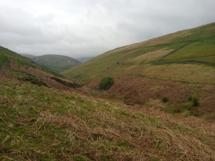 Landscape devoid of people or animals. The primary focus is a gently sloping hillside in the foreground, covered in a mixture of short, dry, light brown grasses and scattered patches of dark green vegetation. The texture is rough, with many thin, dry stems lying on the surface. The scene is a rural valley, likely in a mountainous region. The foreground hillside descends towards a valley bottom, where a small stream or gully is visible. The valley is bounded by rolling hills and mountains, which fade into a misty, overcast sky. The background hills are a muted green-brown, showing varying degrees of vegetation and patches of bare earth. Stone walls, likely used for agricultural purposes, are visible on the upper slopes. The lighting is soft and diffused, indicative of an overcast day; there are no harsh shadows. The overall colour palette is subdued, consisting primarily of various shades of brown, green, and gray, contributing to a calm and somewhat melancholic mood.