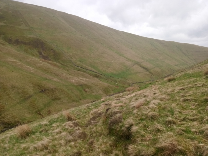 Gently sloping hillside in the foreground, covered in a sea of long, wind-blown grasses, predominantly a muted beige-brown with touches of green. The grasses are not uniformly tall; patches of shorter, greener vegetation are interspersed, suggesting varied terrain and possibly different species. A barely discernible, faint path or track meanders down the slope towards the bottom of the frame. In the mid-ground and background, the valley unfolds, revealing a series of gently contoured slopes and ridges rising to a prominent, imposing hillside that dominates the upper half of the image. These slopes are predominantly a mix of light brown and various shades of muted green, suggesting sparse vegetation typical of high-altitude grasslands. Faint, barely visible lines traverse some of the slopes, possibly hinting at old, low stone walls or contour lines in the landscape. No people or animals are visibly present.