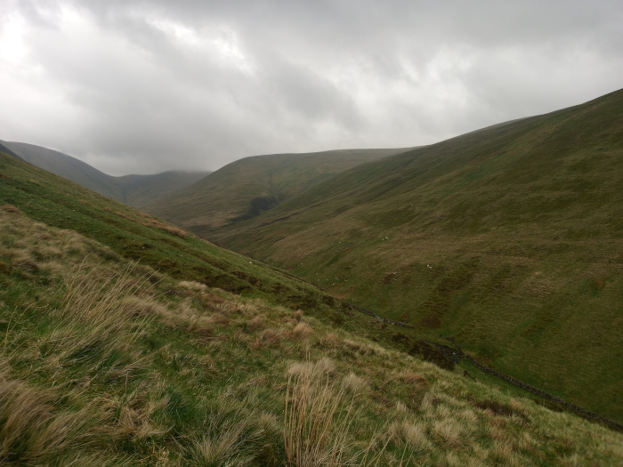 no people or animals that are readily apparent, though there are what appear to be small, light-colored specks in the middle distance on the far hillside, possibly sheep. The main objects are rolling hills and grassy slopes. The foreground is dominated by tall, dry grasses, some leaning to the right and showing movement from the wind. A low, barely visible stone wall is partially seen in the lower right, winding up the hillside. The scene is a vast, mountainous landscape under a heavy, overcast sky. The overall color palette is muted and earthy. The sky is a uniform, light gray, with no strong light sources, resulting in soft, diffused lighting. The hills are covered in various shades of green, transitioning from a vibrant, brighter green in the foreground to a darker, duller green in the middle and background distances. Some areas show patches of brown, indicating drier, less verdant patches of grass. The grasses in the foreground have a beige-gold tint, suggesting dryness and possibly a late season.