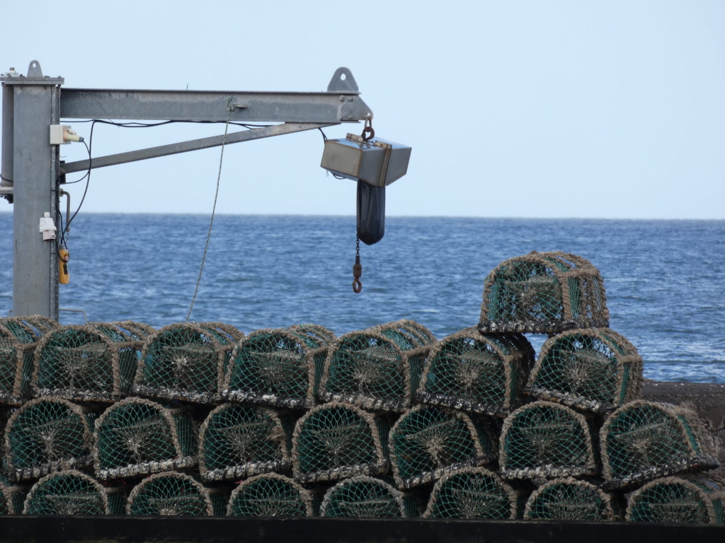 harbour crane with rows of lobster pots