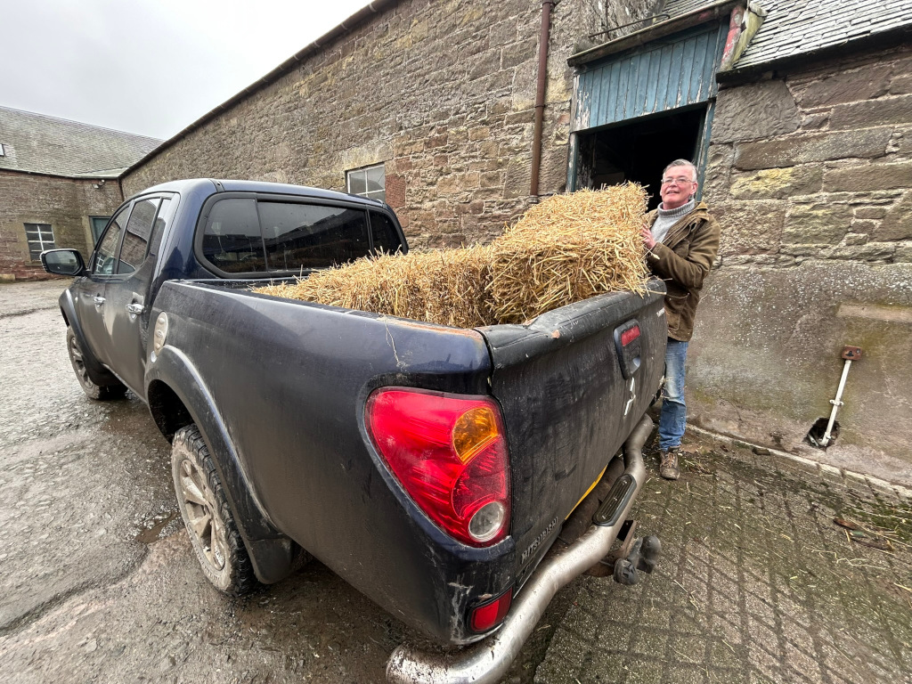 pulling an angry face charlie loads a hay bale into the back of our blue pickup