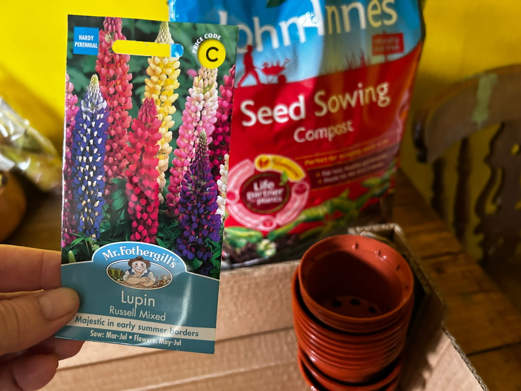 Close-up of a hand holding a packet of Mr. Fothergill's Lupin seeds. The packet depicts vibrant lupin flowers in various colours. Behind it, a bag of John Innes Seed Sowing Compost and a stack of small terracotta plant pots are visible, suggesting preparation for planting. The overall scene depicts gardening preparation and conveys a sense of anticipation for springtime planting and the resulting blooms. The image's implied story is one of tending to nature and anticipation for the beauty of the flowers.
