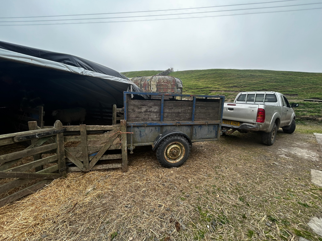 Silver Toyota Hilux pickup truck towing a small, weathered wooden trailer. The trailer appears to be used for transporting livestock, possibly sheep, as suggested by the presence of a sheep in a pen under a tarp in the background. The scene is set in a rural, possibly farming, environment. A wooden gate and hay are visible on the ground. The overall mood is tranquil and suggestive of farm life.