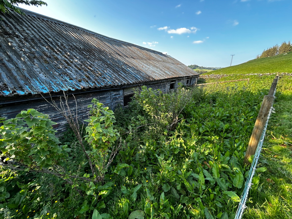 Long, weathered, grey barn with a corrugated metal roof, partially overgrown with vegetation. The barn is situated in a rural setting against a backdrop of rolling hills under a clear blue sky. A wire fence runs alongside the barn and into the foreground of the image.