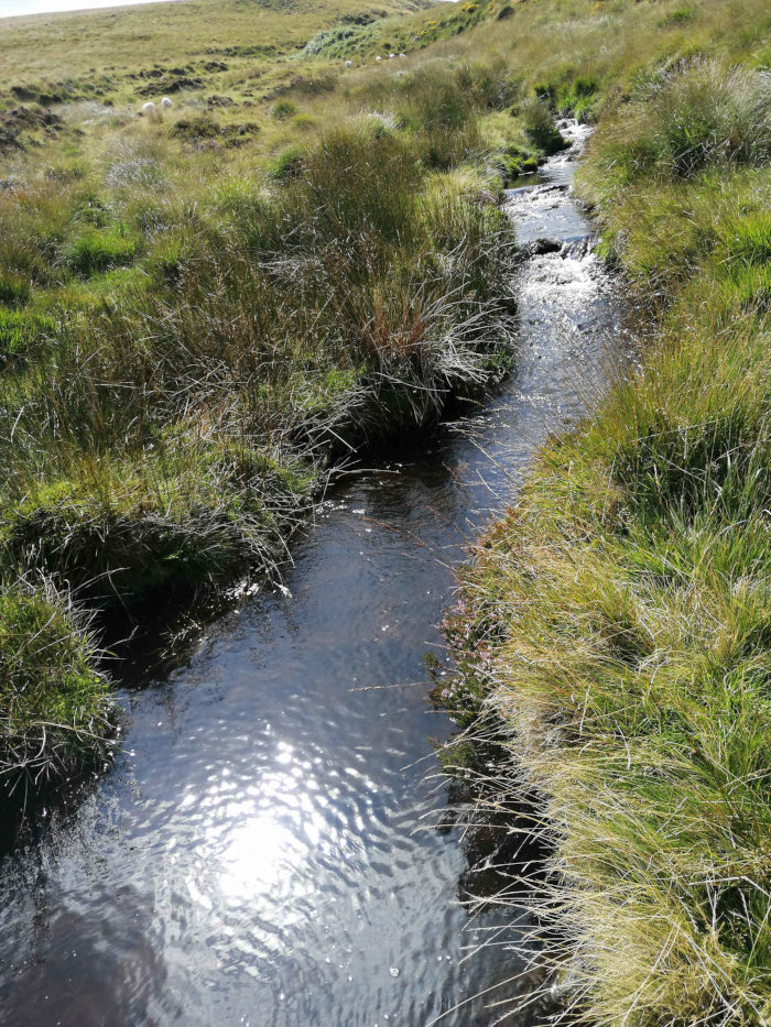 Dartmoor