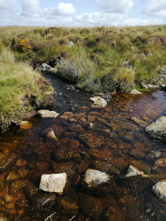 Dartmoor