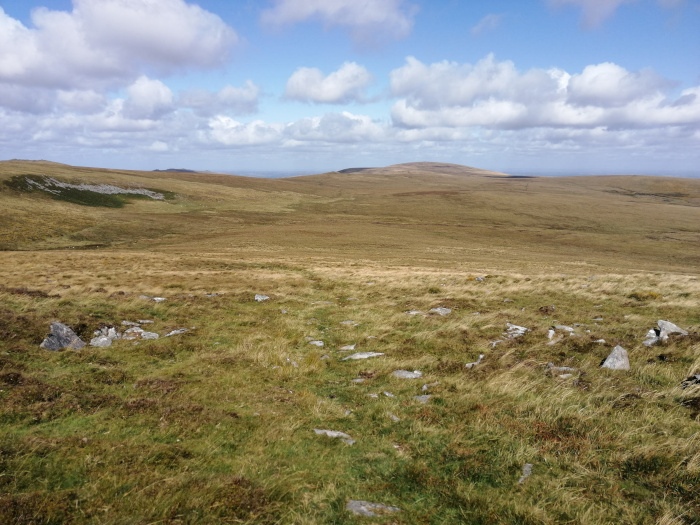 Dartmoor