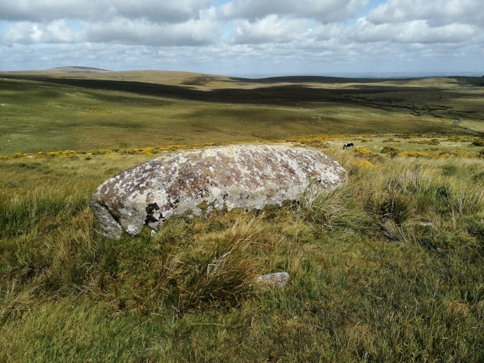 Dartmoor