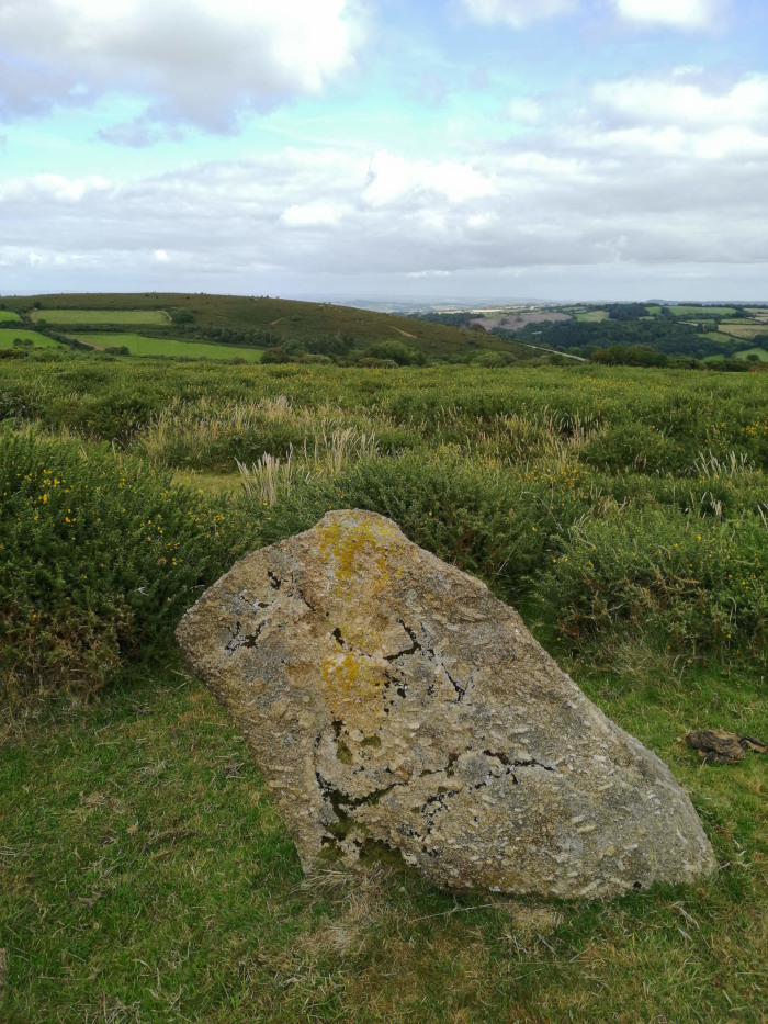 Mardon Down Stone Circle