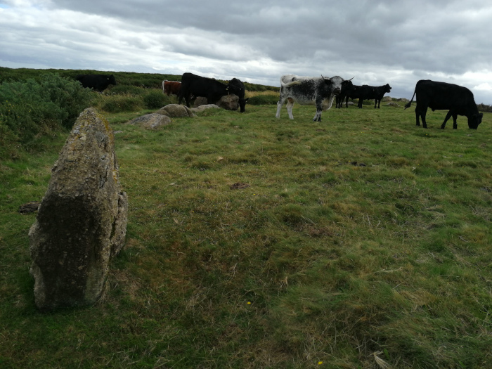 Mardon Down Stone Circle