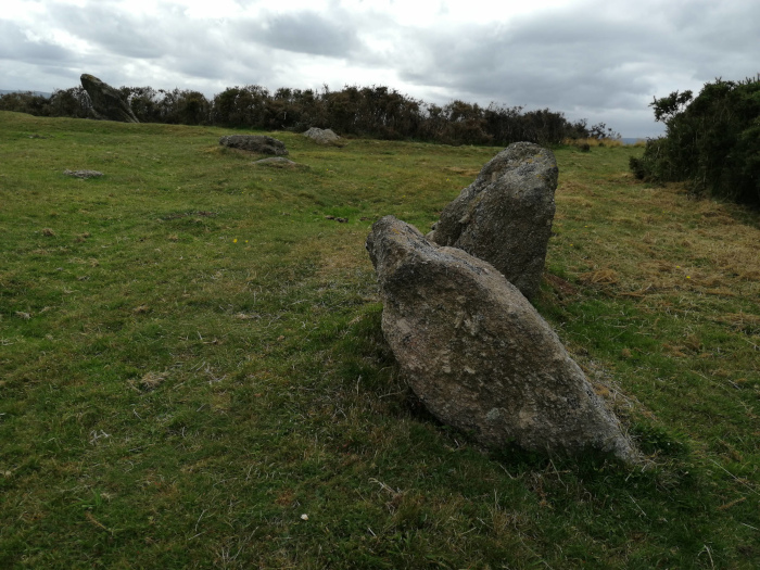 Mardon Down Stone Circle