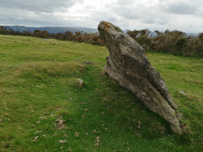 Mardon Down Stone Circle