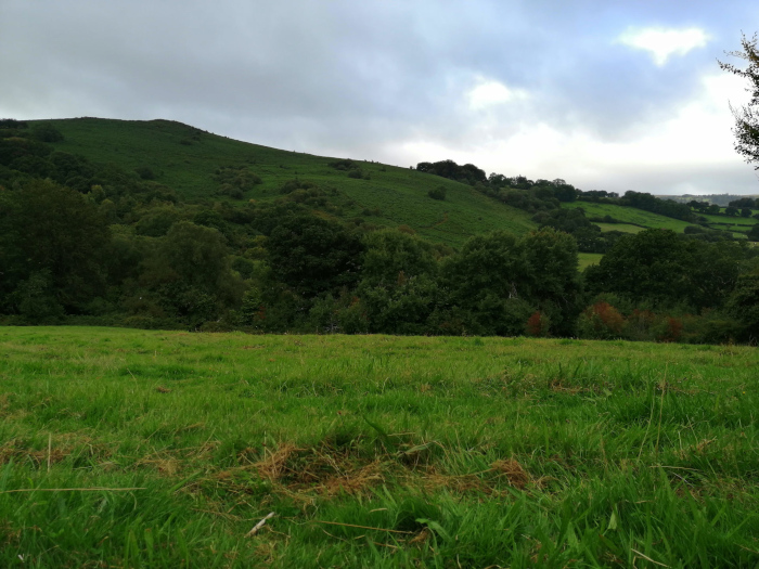 Verdant Devonshire