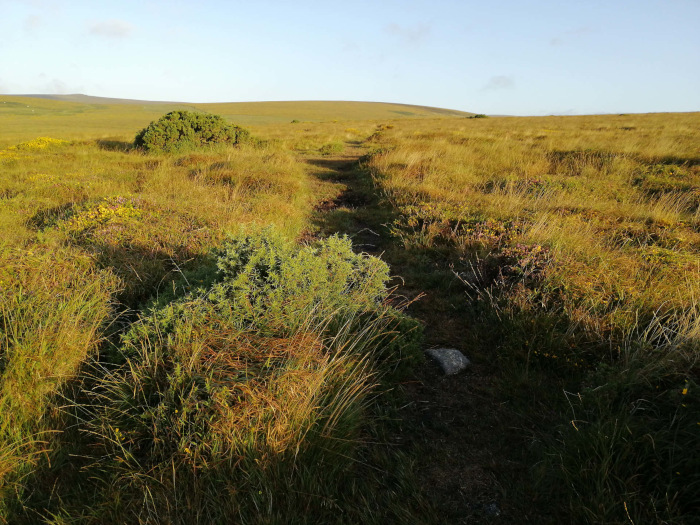 Scorhill Stone Circle