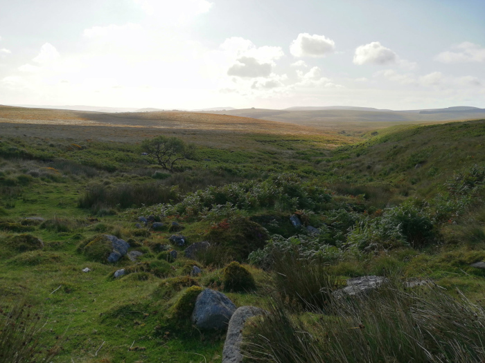 Dartmoor