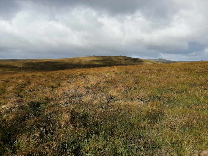 Dartmoor