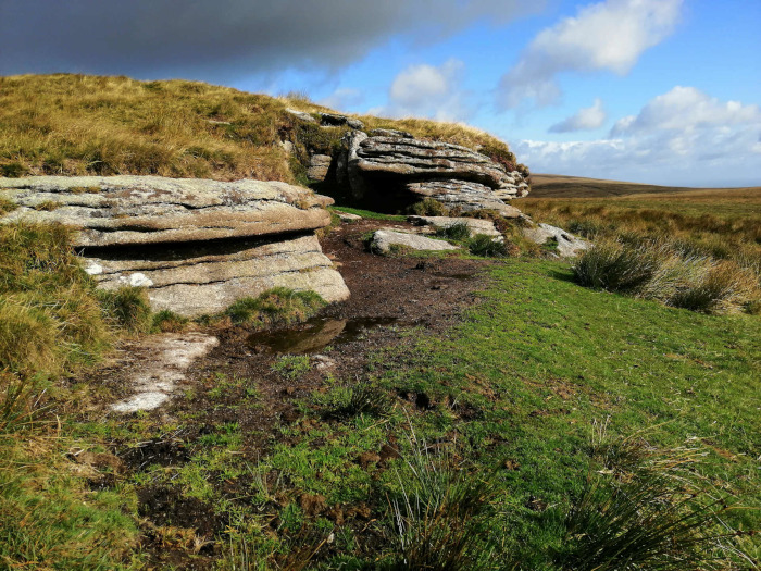 Dartmoor