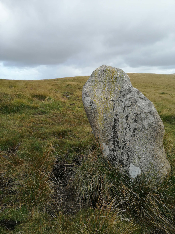 Dartmoor