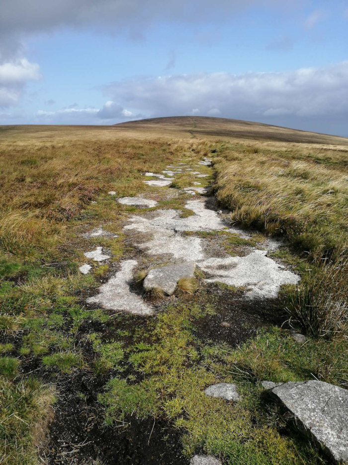 Dartmoor