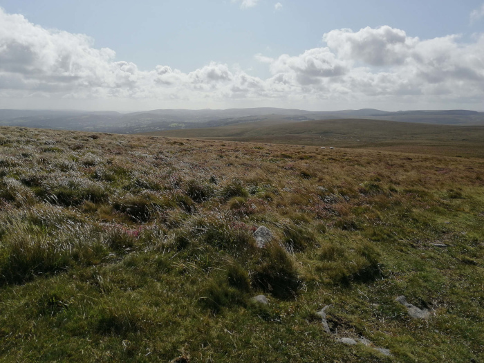 Dartmoor