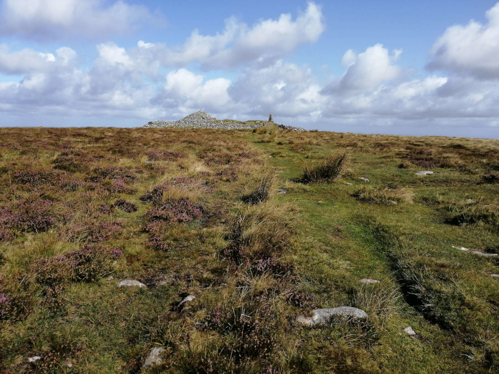 Dartmoor