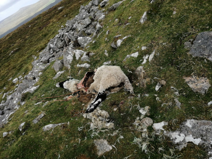 Dartmoor