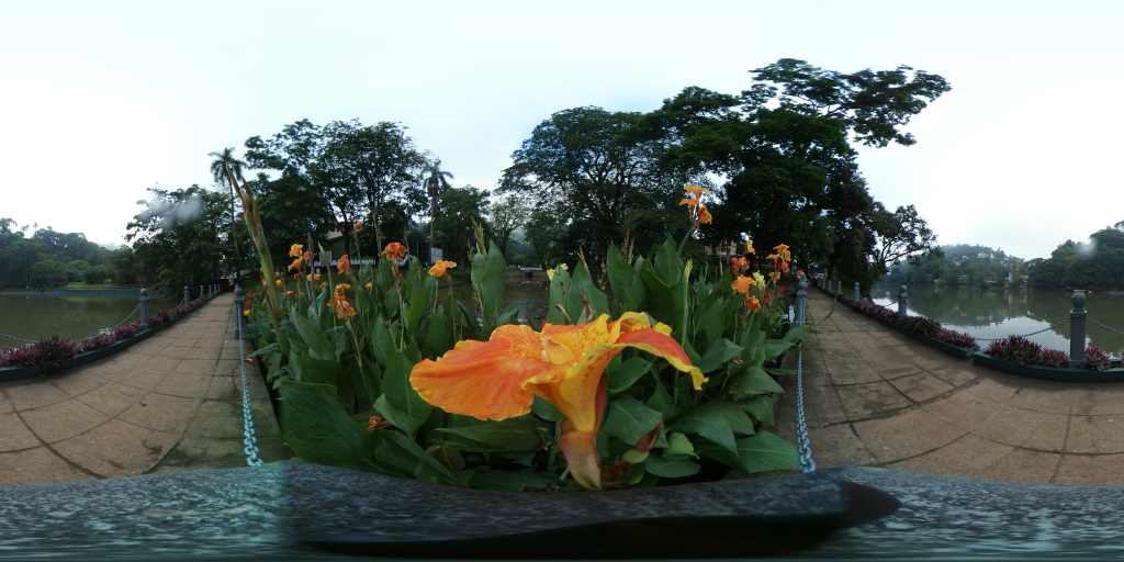 Vibrant, intensely orange and yellow Canna lily, positioned slightly off-centre towards the bottom third of the frame. Its petals are a striking blend of fiery orange and sunny yellow, with delicate, almost translucent edges. The flower is in full bloom, its petals unfurled in a dramatic, almost theatrical display. Surrounding this central flower is a lush bed of other Canna lilies, a mix of oranges, yellows, and hints of red, all displaying various stages of bloom, creating depth and a sense of lively growth. The lilies are planted along a paved walkway that curves gently around a calm body of water. The walkway is flanked by low stone walls and metal railings. There are no people visible in the scene.