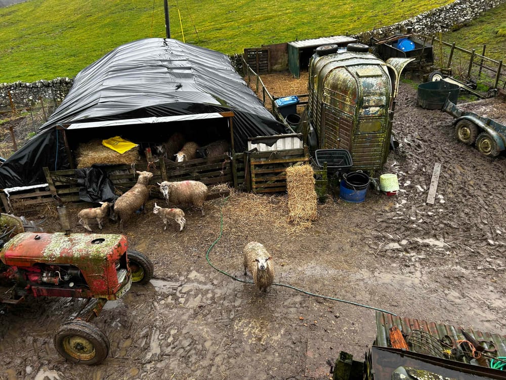 Poly tunnel post image