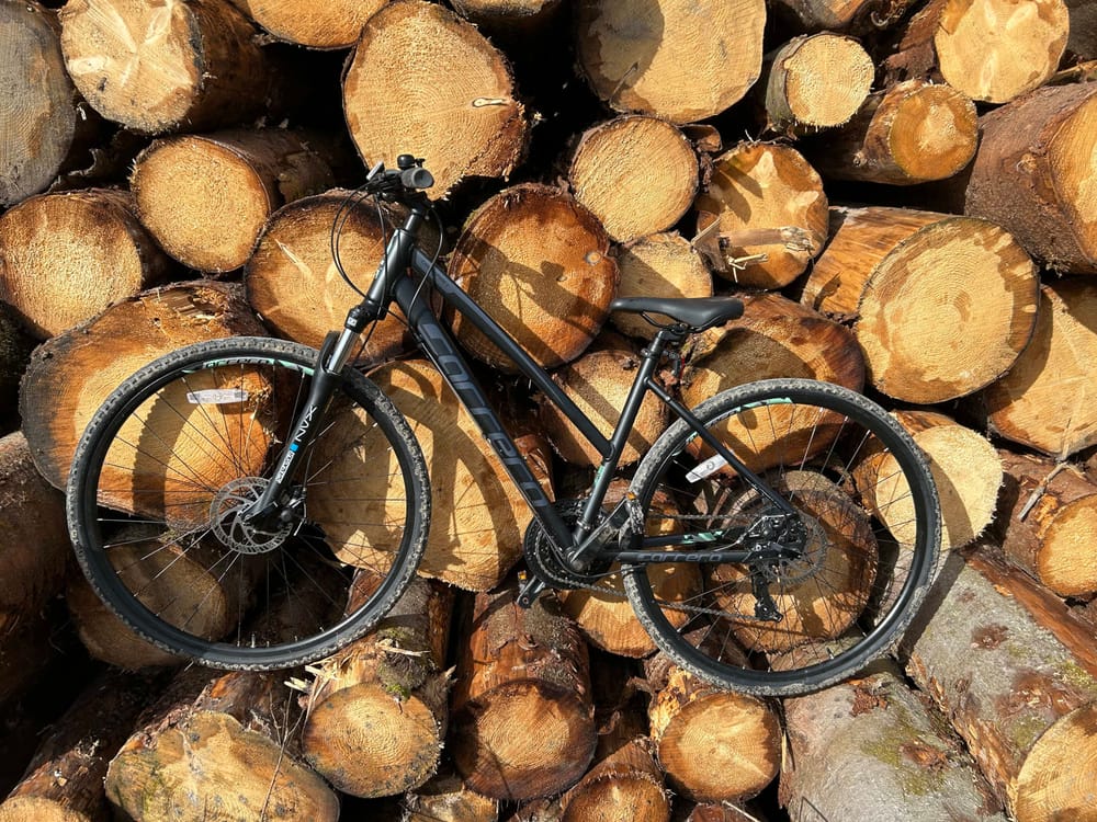 Mountain Biking post image