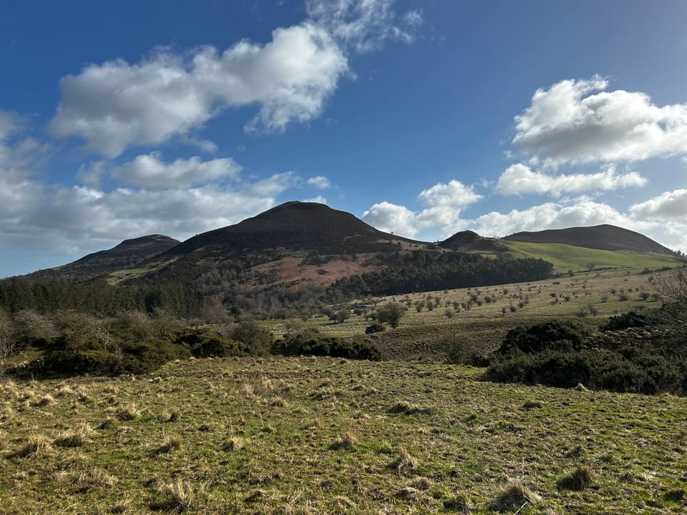 Eildons post image