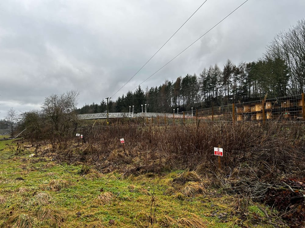 River Teviot post image