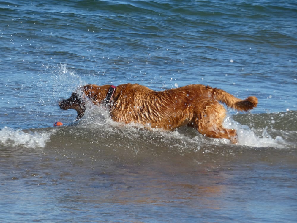 Coldingham post image