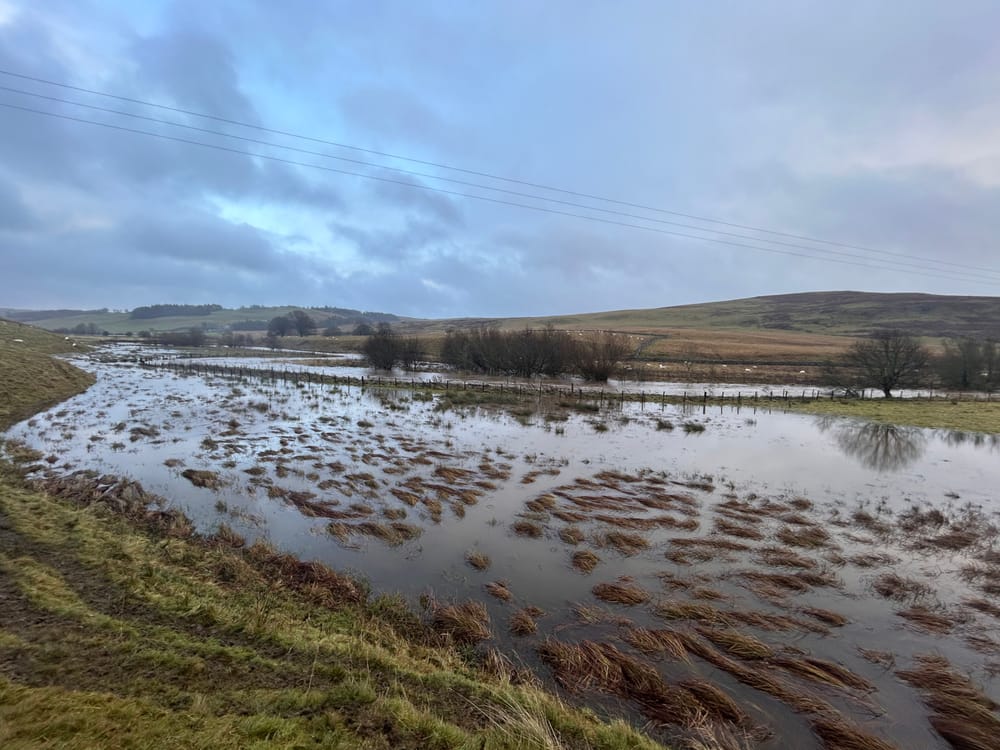 Flooding post image