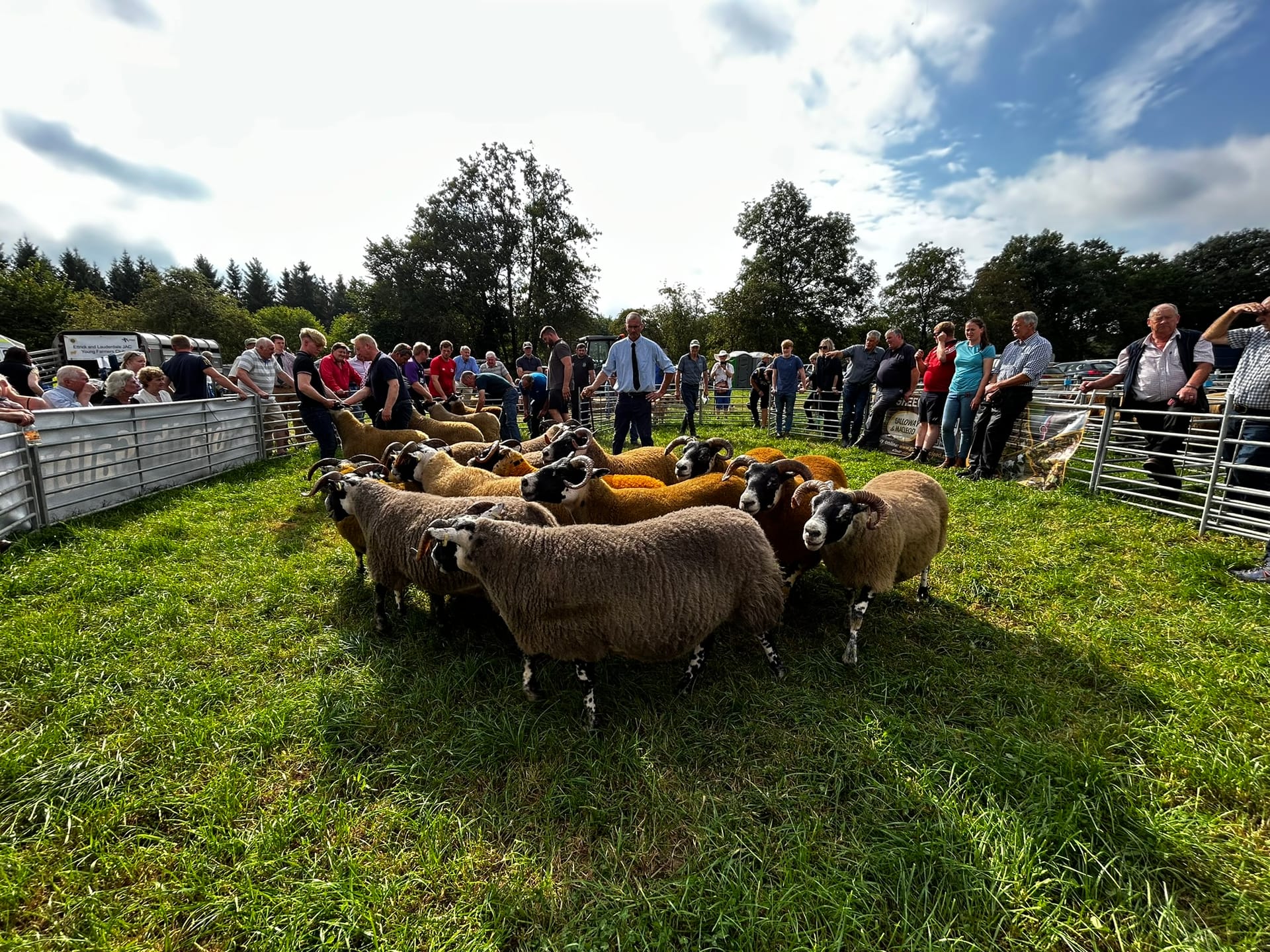 Yarrow & Ettrick Show