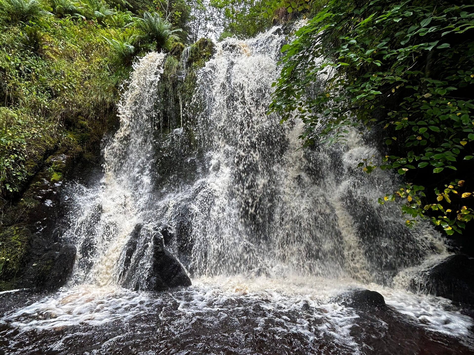 Wolfcleuch Waterfall