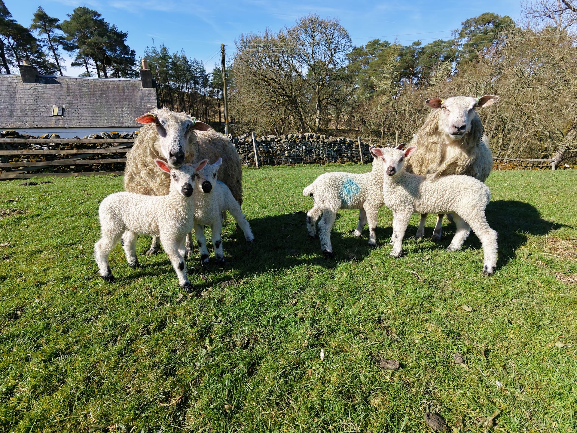 Tagging and Clipping