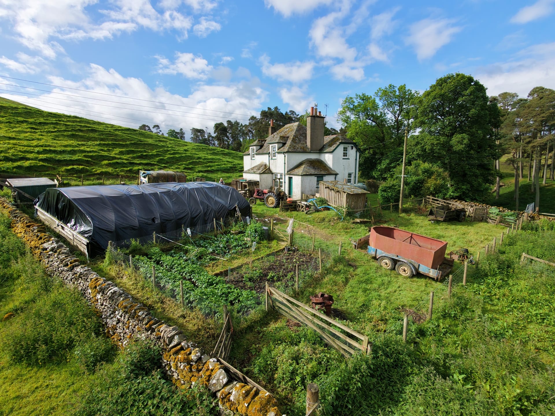 Rooted in the Borders: A Journey of Mindful Growth