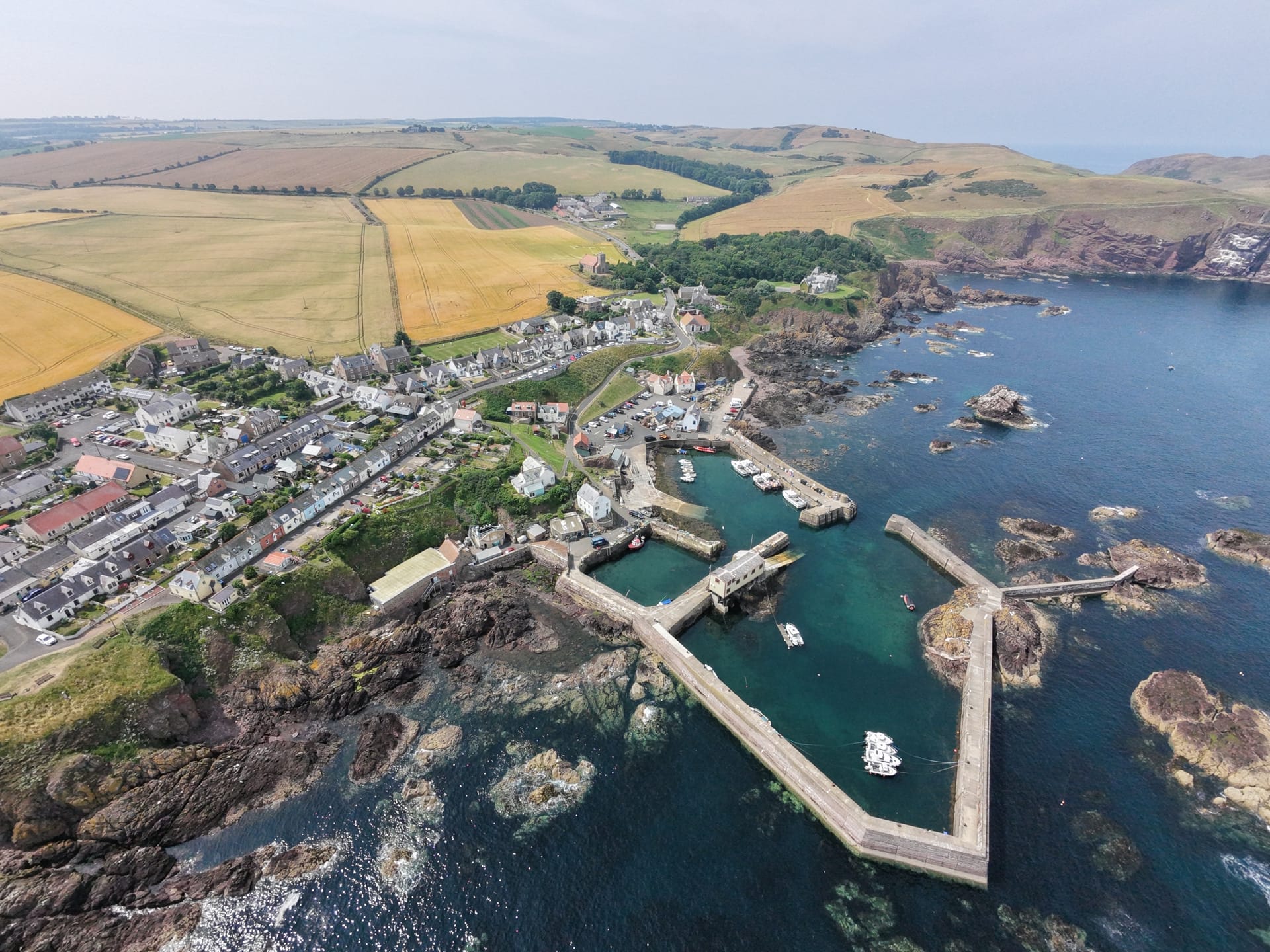 St. Abbs: A Portrait of Resilience and Agency