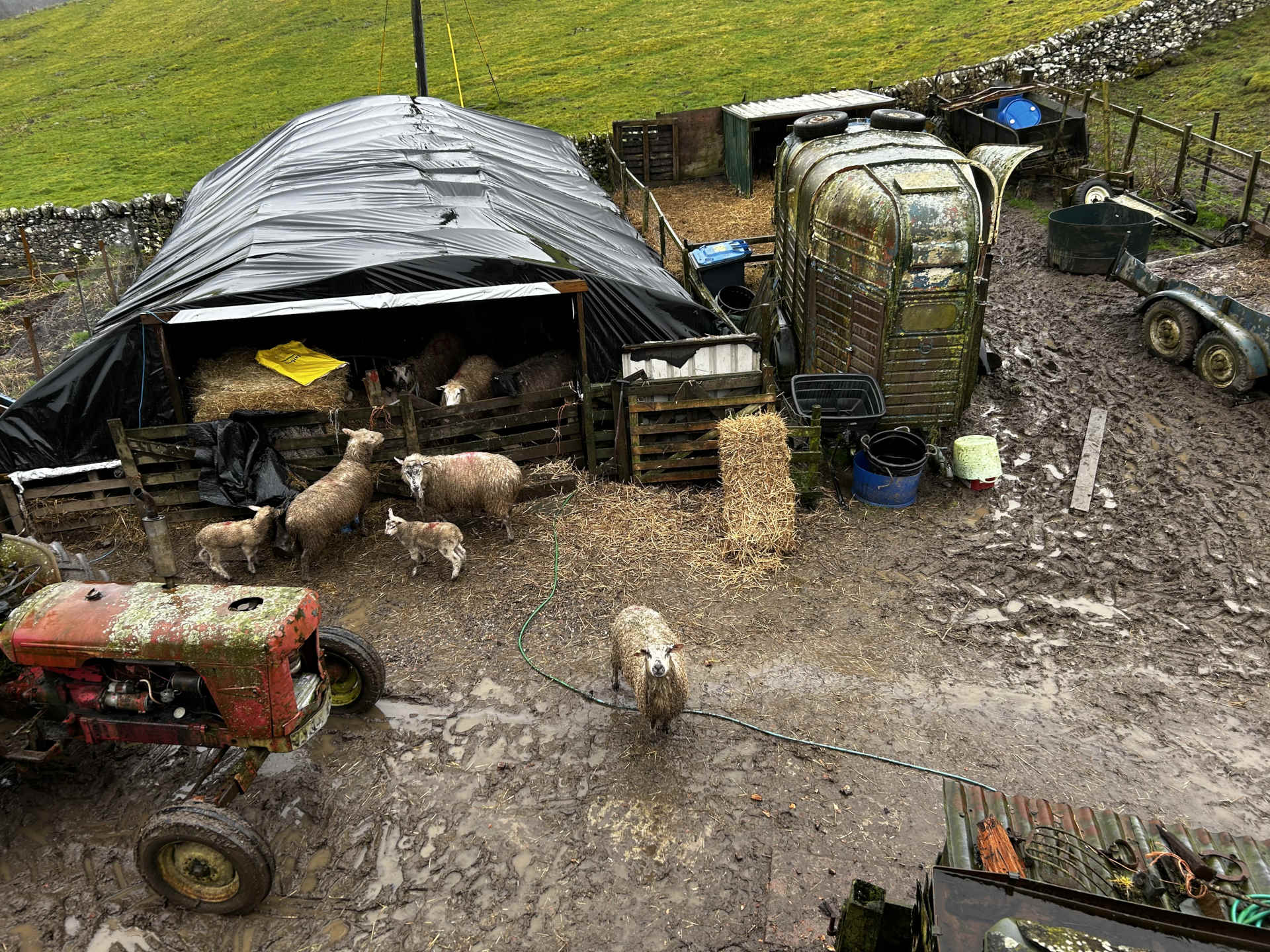 Poly tunnel