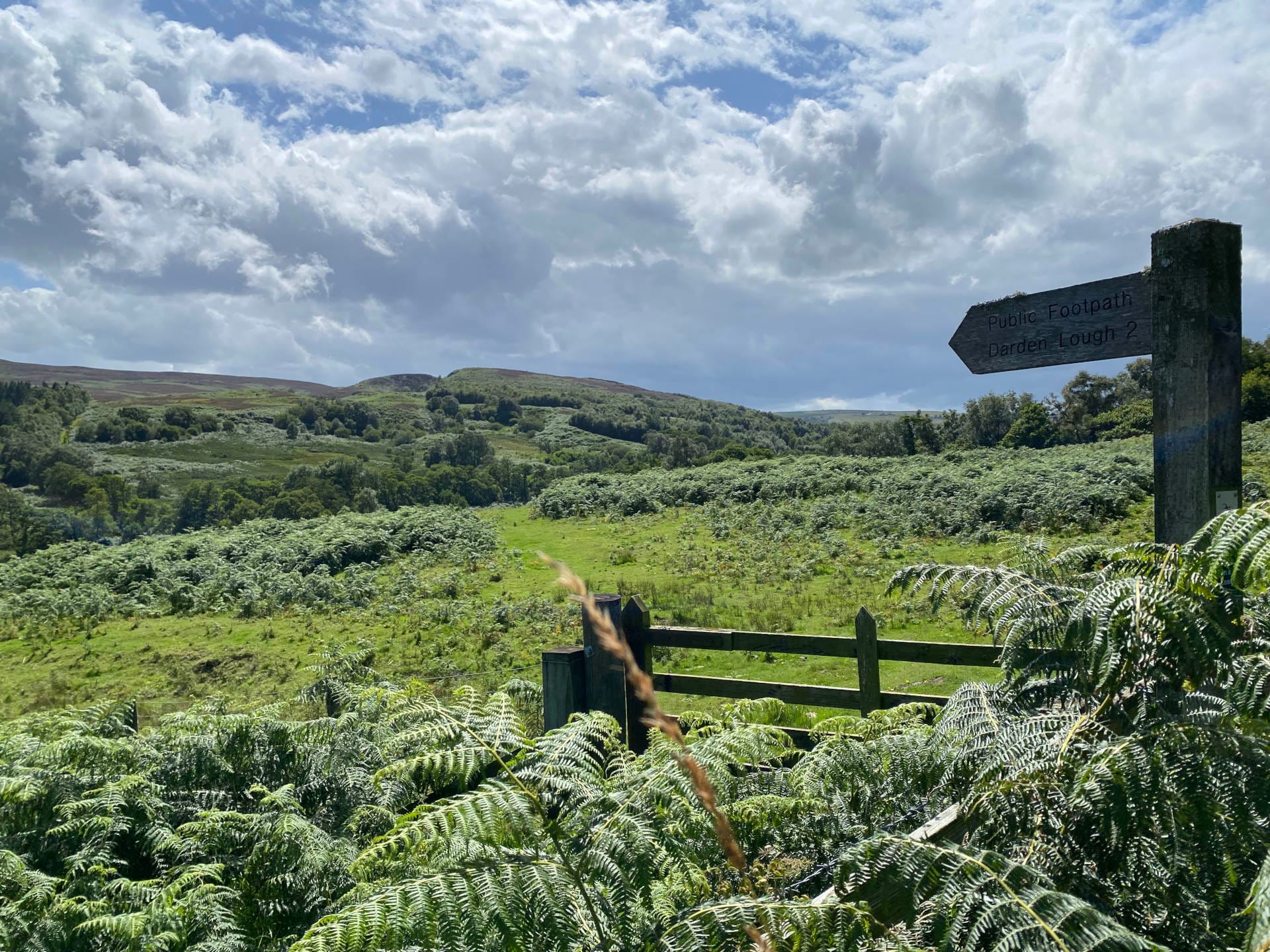 Kielder wanderings