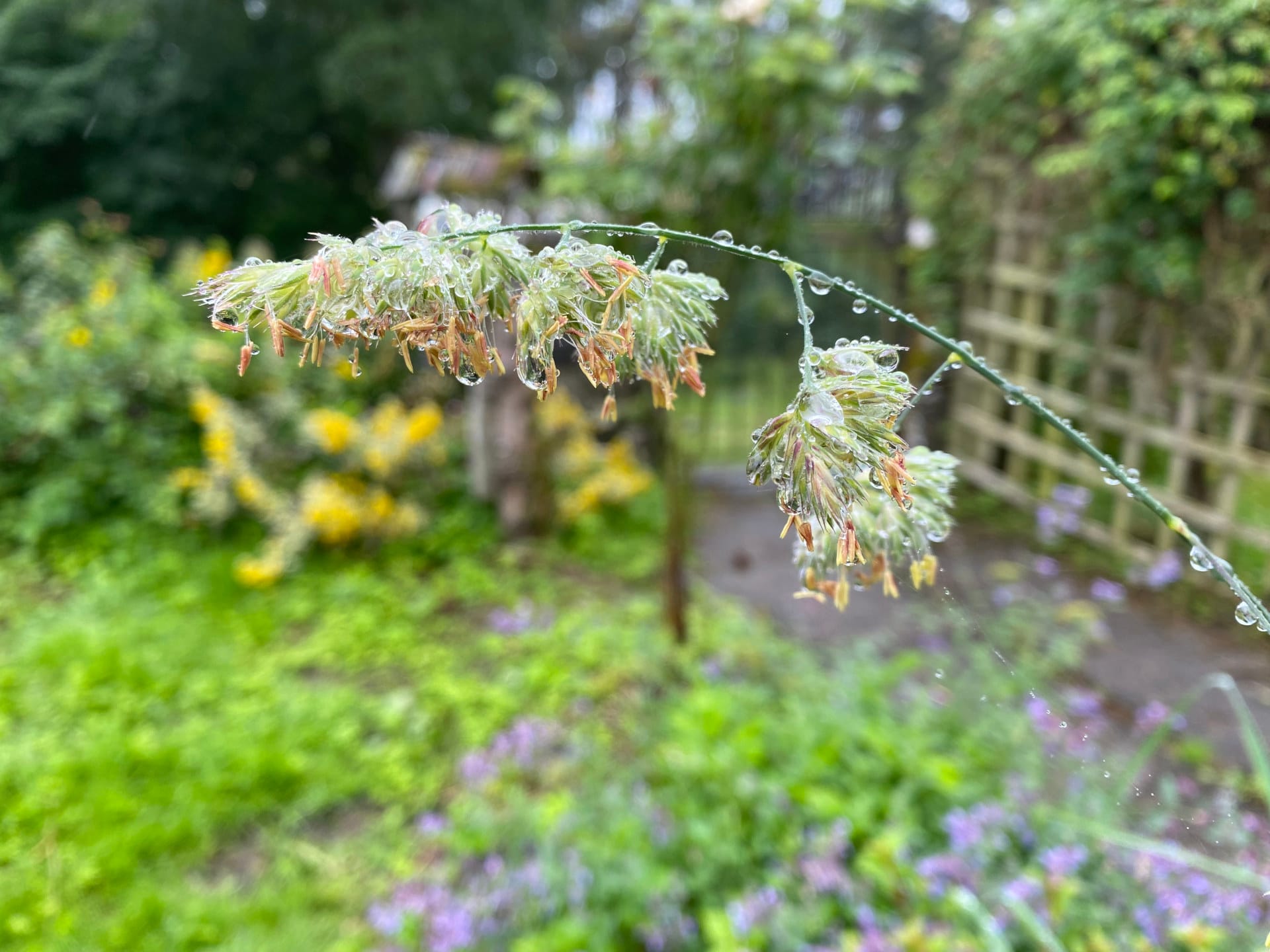 Farmhouse Garden