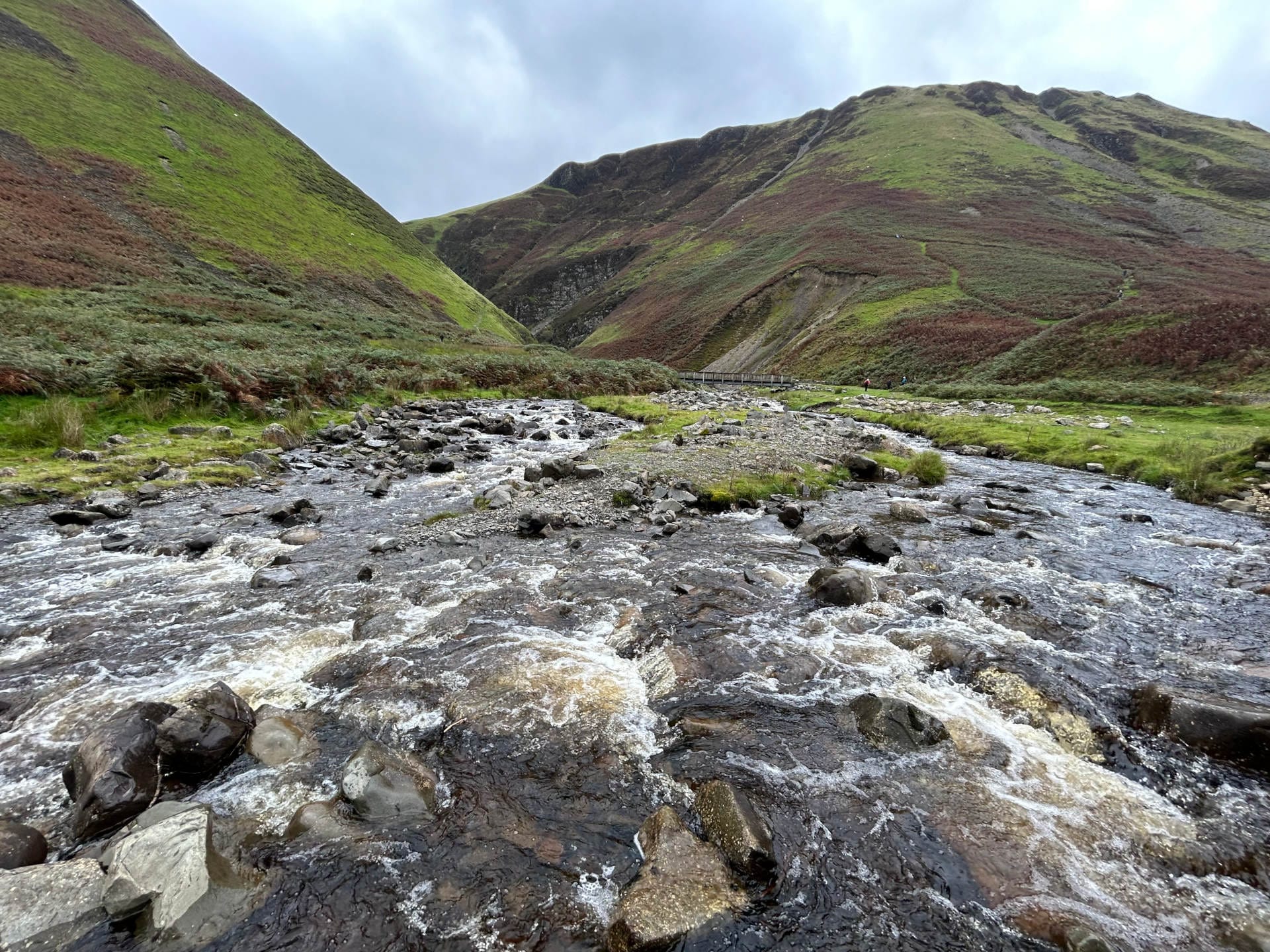 Grey Mares Tail