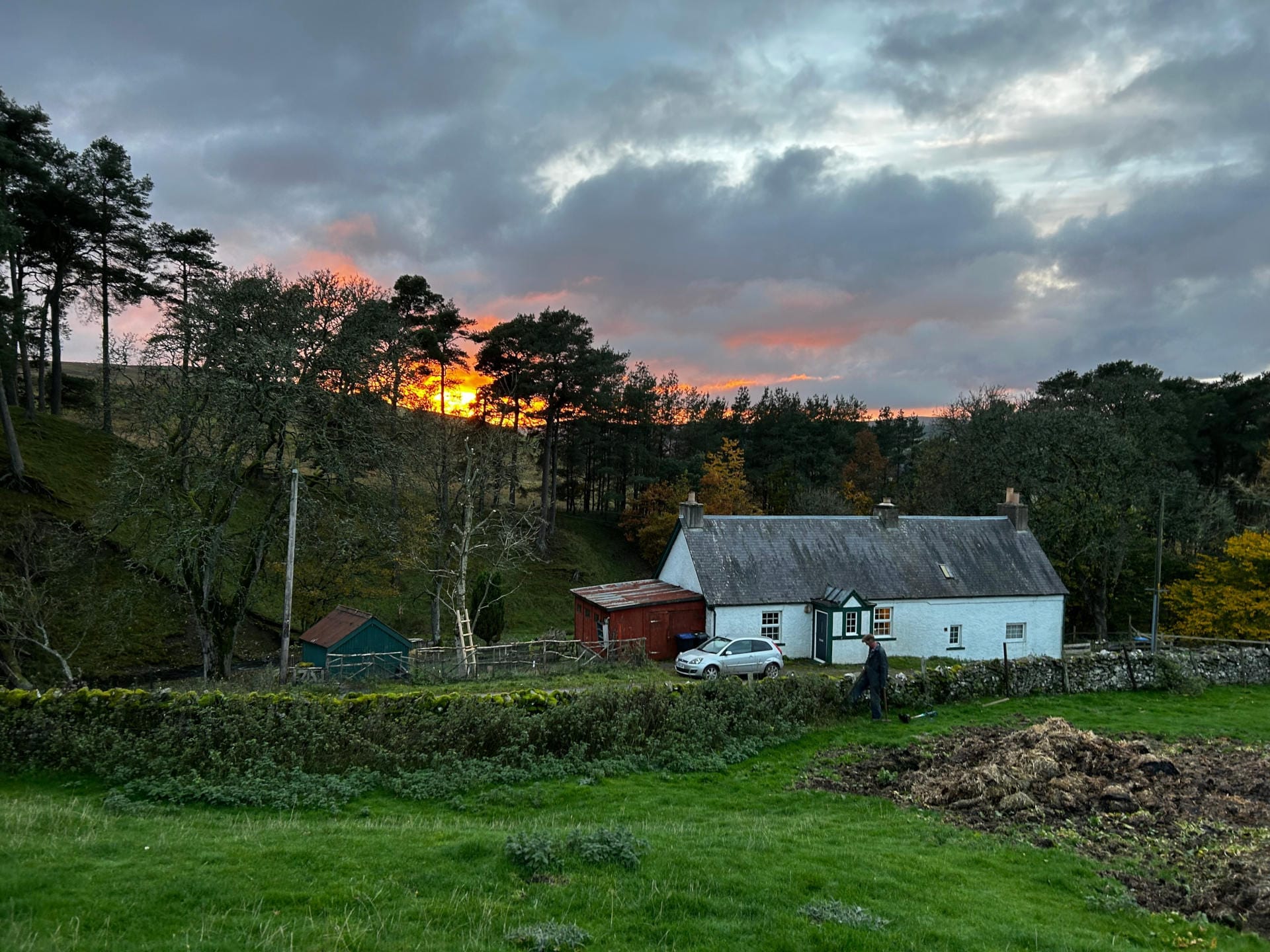 Sunset Woodburn