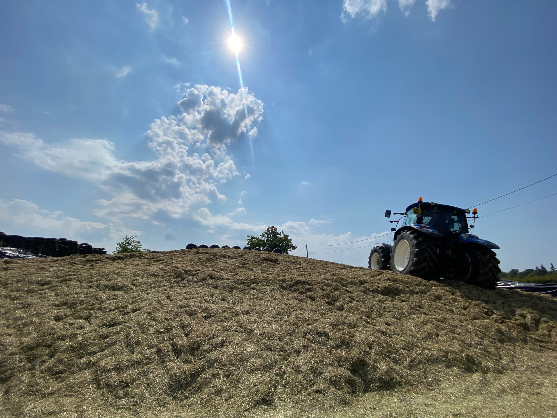 Silage