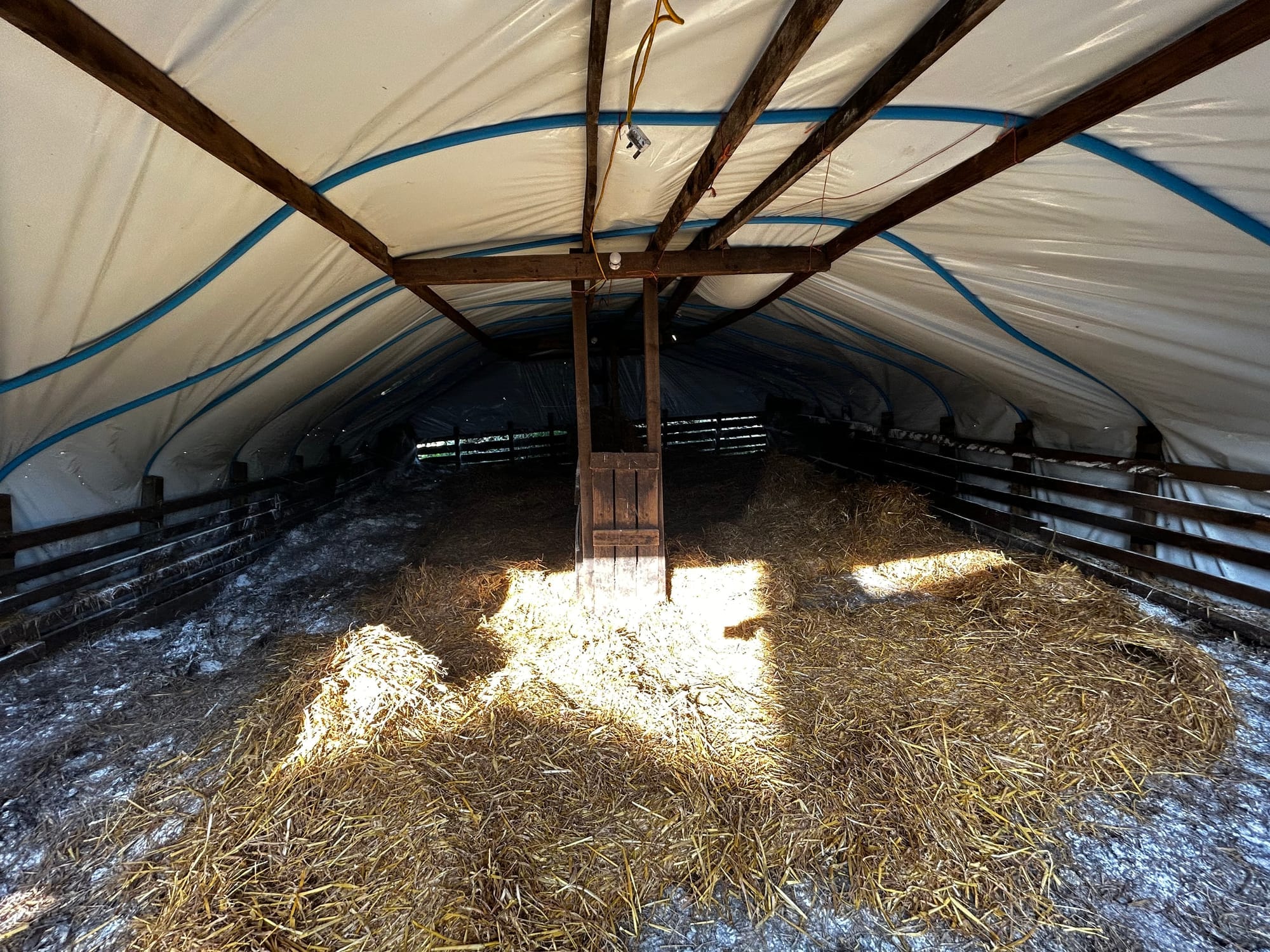 Poly tunnel